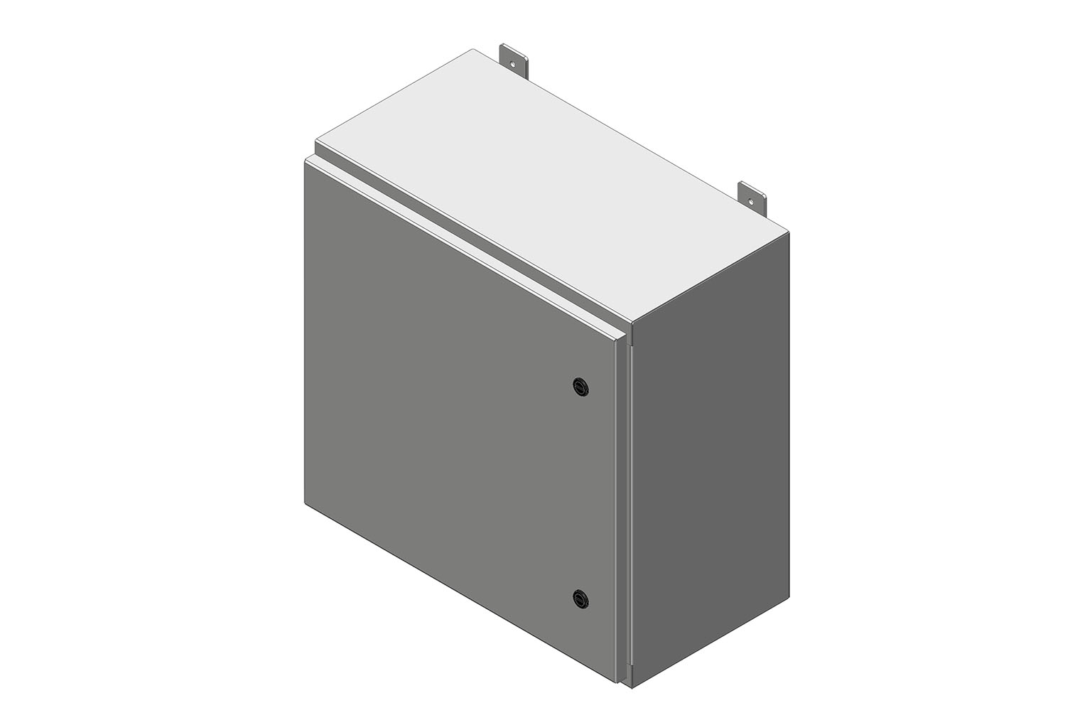 RMR Standard Wall-Mount Enclosure, Type 4 and 12 with Single Door Image