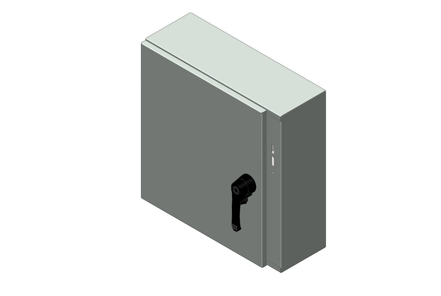 RMR Standard Wall-Mount Disconnect Enclosure, Type 4, with Solid Single Door - Image 13